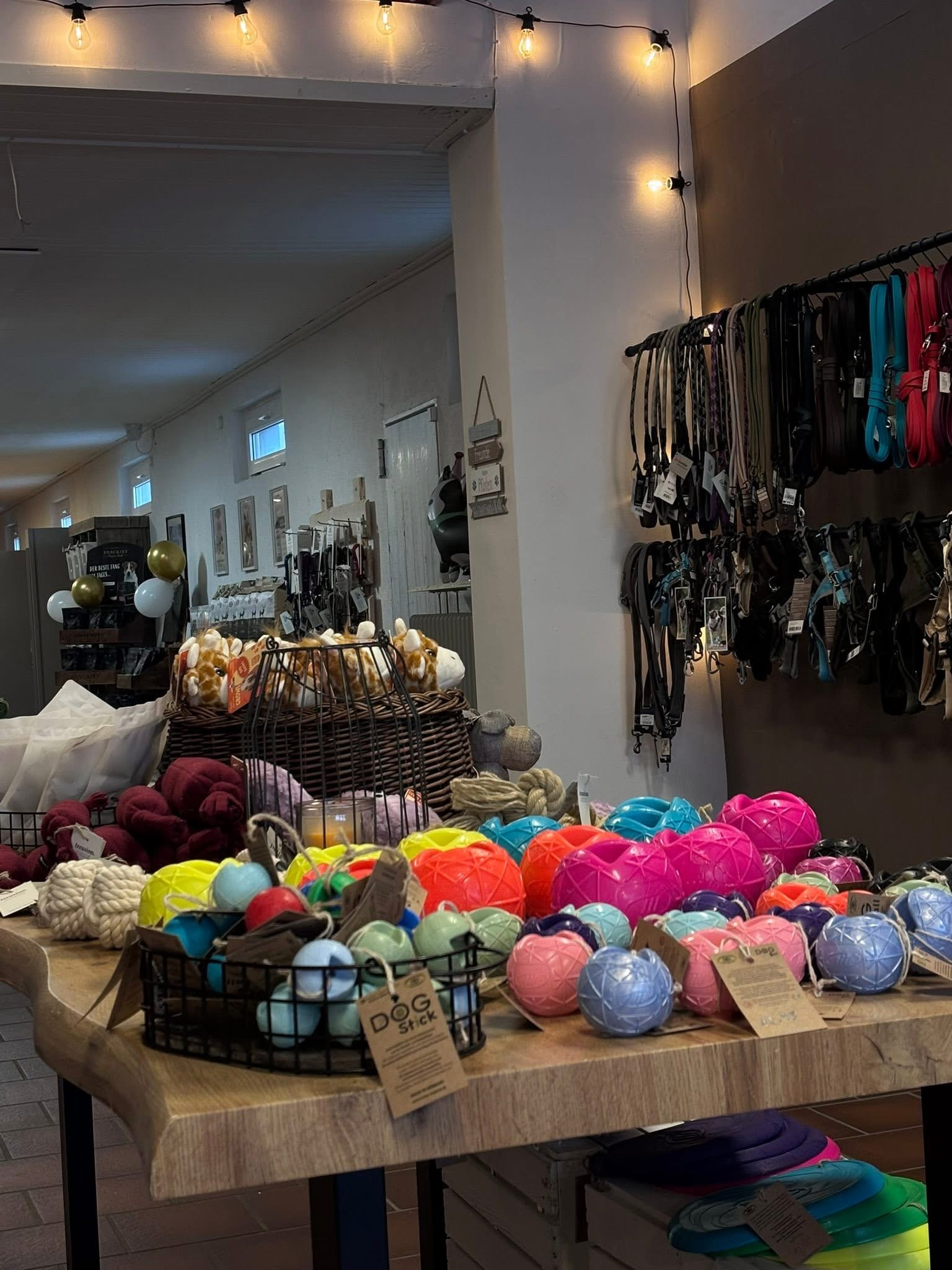 The Dog House Laden Innenansicht